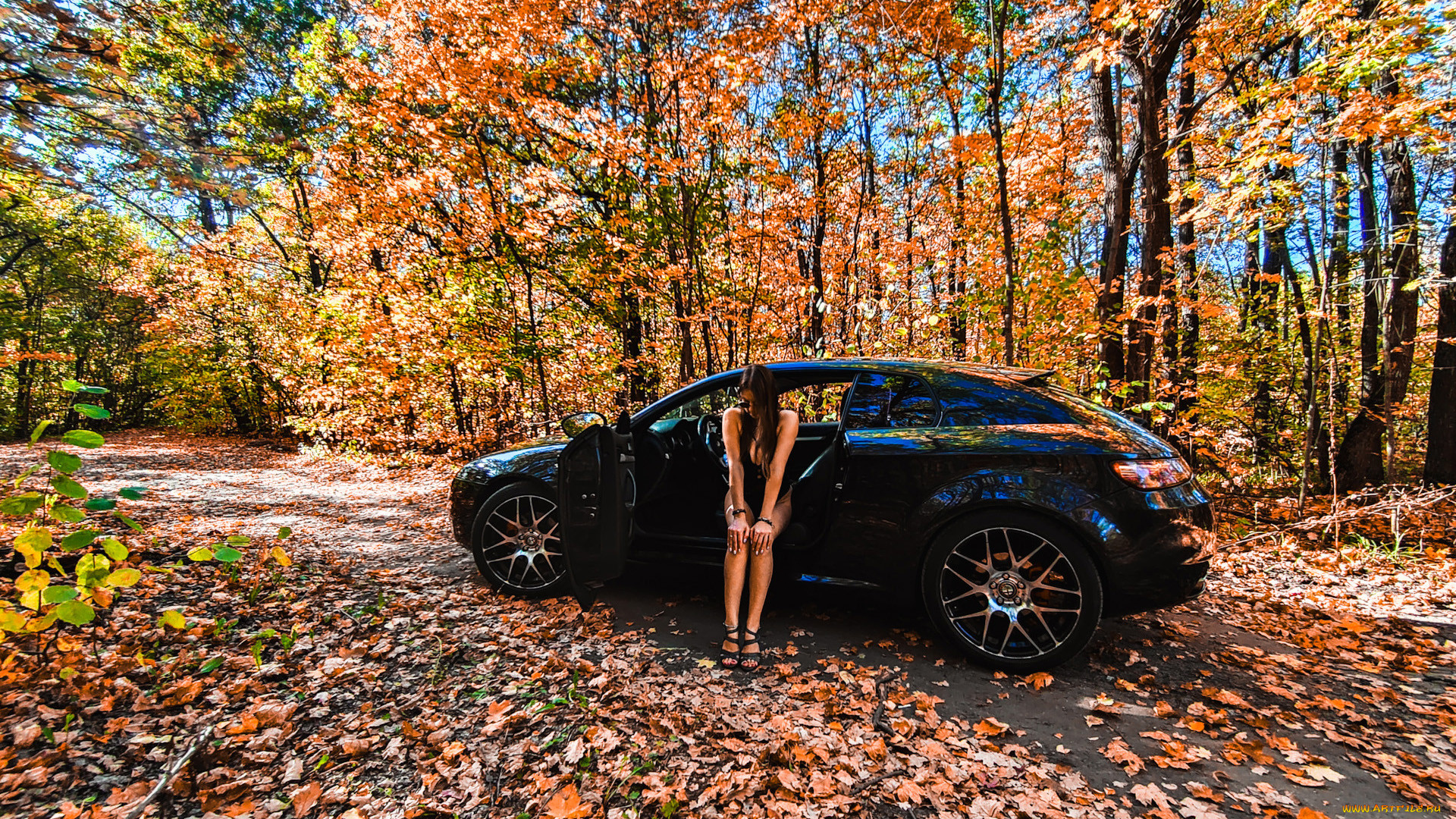 ����������, -���� � ���������, alfa, romeo